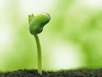 Old Han's Stir-Fried Chicken (Nanjing Jinying World Store)