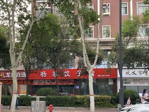 Yang's Handmade Dumplings (Longquan Garden Branch)