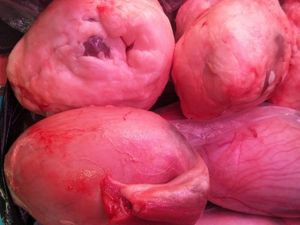 Da Ya Zi Barbecue (Kangqiao Shangcheng Store)