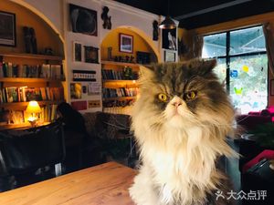 Stay Coffee (Tianshi Road Store)