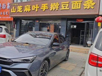 Mountain Sesame Leaves Hand-Kneaded Soybean Noodles