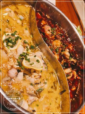 Shang Yu Chongqing Fish Hot Pot (Zhongmu Branch)