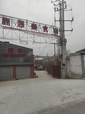 Bailu Plain Food City