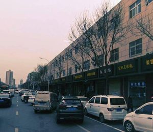 Chengcheng Water Basin Lamb (Beichen Branch)