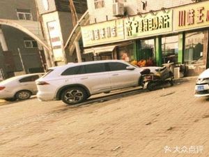 Zhu Ma Ningxia Special Stir-Fried Meat Slices (Fengdong New District Store)