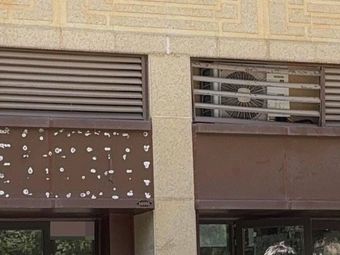 Jiao's Hanzhong Steamed Rice Noodles