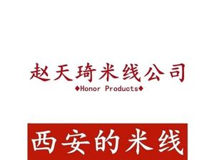 Zhao Tian Qi Noodle Company (Hujia Miao Store)