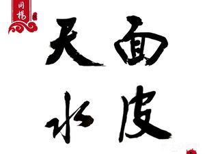 Liu Tongyang · Tianmian Pei (Xi'an Main Branch)