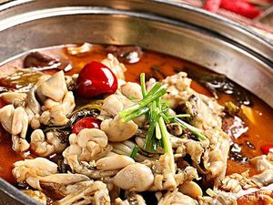 Frog Master Spicy Jumping Frog