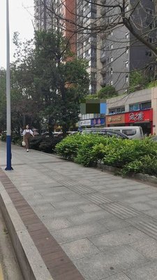 Xian Du Spicy Duck Sauce (Wujialing Branch)