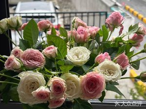 Duo Zi Canteen Claypot Rice