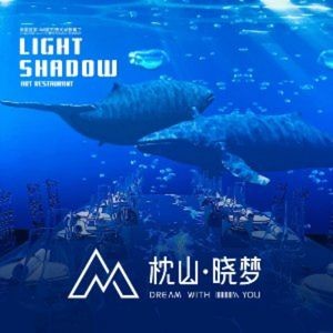 Zhen Shan Xiao Meng · Light Art Restaurant