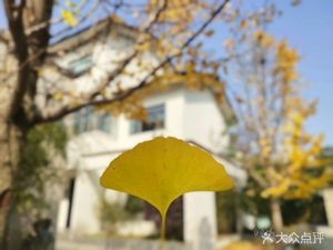 Qing Cheng · Shu Xing Vegetarian Culture Hall