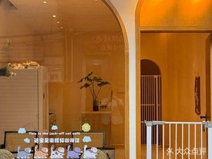 WOOYOO Cat Café · Cat Lounging Room · Study Space