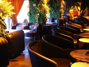 Fulu · Reptile · Coffee · Drinks