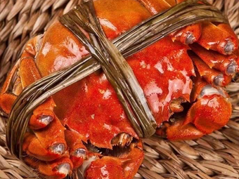 Xie Huang Guan · Yangcheng Lake Crab (Wuyi Branch)