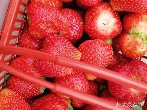 Changsha Civil Affairs Vocational Technical College - Student Dining Hall 5