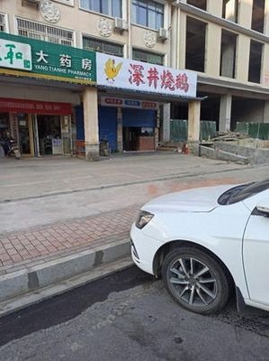 Deep Well Roasted Goose (Songshui Road Branch)