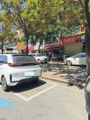 Xiao Li's Yiyang Spicy Hot Pot (Phase II, Xingfu Li)