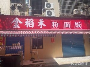Golden Rice Field Noodles & Rice