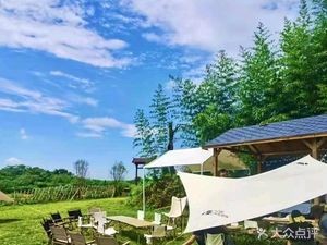 DK Camping · Starry Camp · Birthday Party · High-End Gathering · Outdoor Barbecue