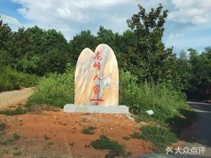 Longfeng People's Home