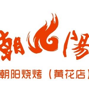 Chaoyang Barbecue Food City (Huanghua Branch)