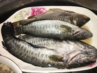 Chang Ge's Handmade Lamb Restaurant