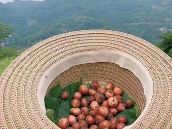 Pork Chopping Rice Noodles (Baihe Garden Branch)