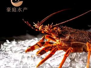 Haoting Aquatic Products (New World Headstore)