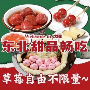 Zao Fu Iron Pot Stew KTV Karaoke (Hong Mei Branch)