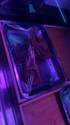 One Goose Ready-to-Eat Shop