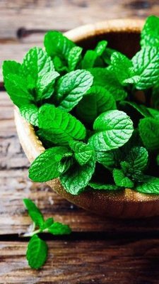 Liaoning Provincial Museum Visitor Dining