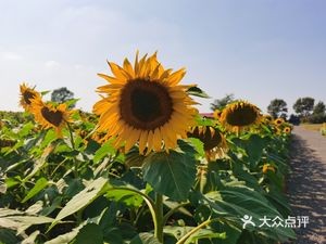 Da Fu Yuan Restaurant