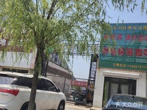 Fat Sister Spicy Skewers