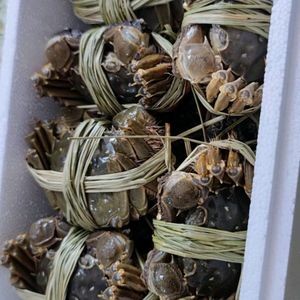 Crab Palace (Shenbei Branch)