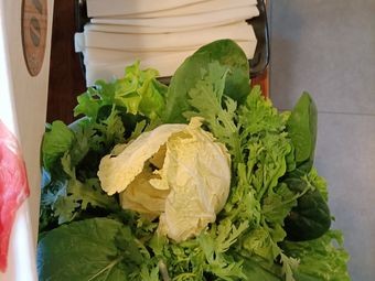 Meet in Mountain City Hot Pot