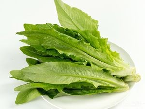 Yang's Fragrant Chicken Stir-Fry & Braised Chicken (Tiyuan Branch)