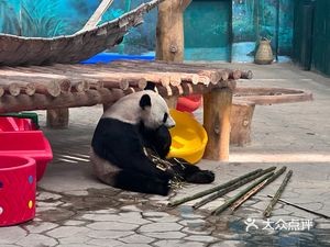 Food Plaza (Shenyang Forest Zoo Store)