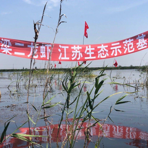 Liang Er Long虾·Dungeness Crab (Hunnan Store)