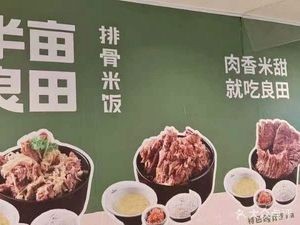 Half A Mu Good Field Pork Rib Rice (Longhu Tianjie Store)