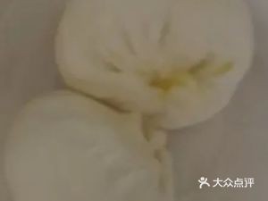 Old Mr. Shen's Baozi (Baiyu Garden Branch)