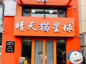 Qing Mao Cat Planet · Cat Café (Vanke Zitai Branch)