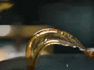 Pangge La Meat Crab Pot (Qingdao CBD Wanda Branch)