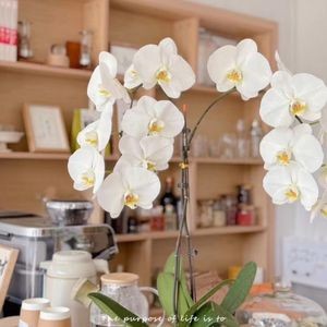 Yue Ji Hua and Coffee