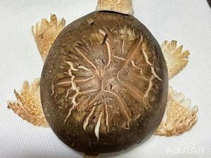 Qindao Liuxiang Pancake with Egg (Jimo Baolong Branch)