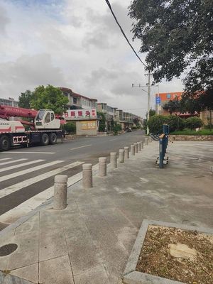 Rixin Steamed Buns (Fresh New Buns)