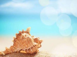 Xiao An Seafood (Xuefu Linju Branch)