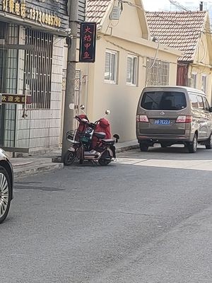 Flame Softshell Turtle