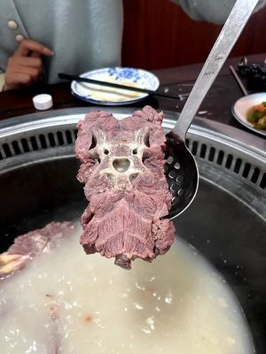 New Hearth Turtle Soup and Lamb Spine Restaurant